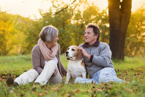 A Few Activities for the Elderly to Promote Their Physical and Mental Health